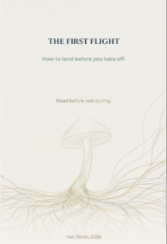 Cover: The First Flight